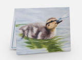 Baby Animal Notecard Pack
