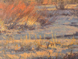 Cold Evening Light - Oil on Canvas
