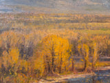 Nature's Showcase - Oil on Canvas