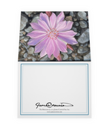 Montana Notecard Pack