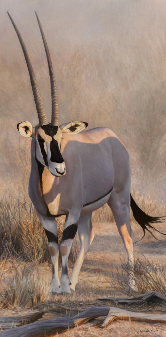 Gemsbok Gem II - Oil on Canvas