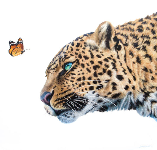 Curiosity III - 36 x 36 Original Oil on Canvas