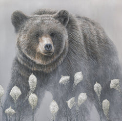 Beargrass - Limited Edition Canvas Giclee Print