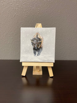 North American Bison Study - Mini - Oil on Canvas