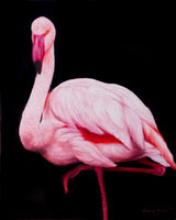 Flamingos - Open Edition Canvas Giclee Print Series