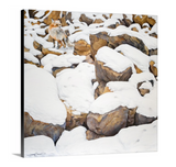 Fox in Rocks - Limited Edition Canvas Giclee Print