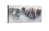 The Thundering Herd - Limited Edition Canvas Giclee Print