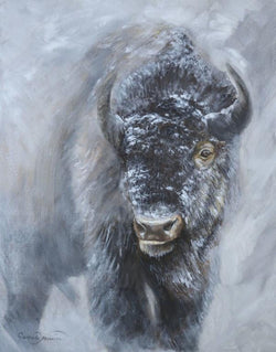 Unduly Curious - Open Edition Canvas Giclee Print