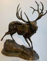 Oh September - Bull Elk