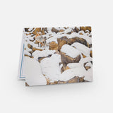 Fox Notecard Pack