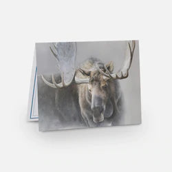 Moose Notecard Pack