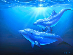 Dolphin Magic II - Oil on Canvas