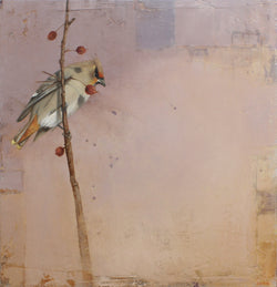 Bohemian Waxwing - Original Oil on Panel