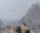 Curiosity - Limited Edition Print