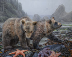 Curiosity - Limited Edition Print