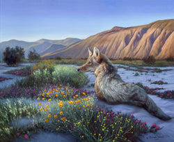 Desert Coyote - Oil on Canvas