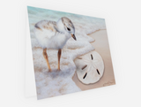 Small Bird Notecard Pack