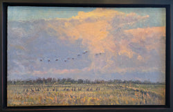 Harvest Skies - Oil on Canvas