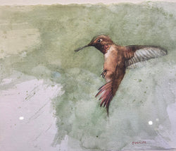 Hummer on Green - Watercolor on Paper