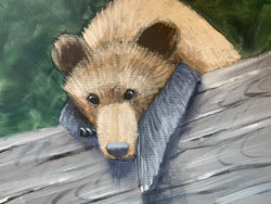 Bear Sketch - Lounging Bear Cub #1