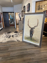 Meadow Elk
