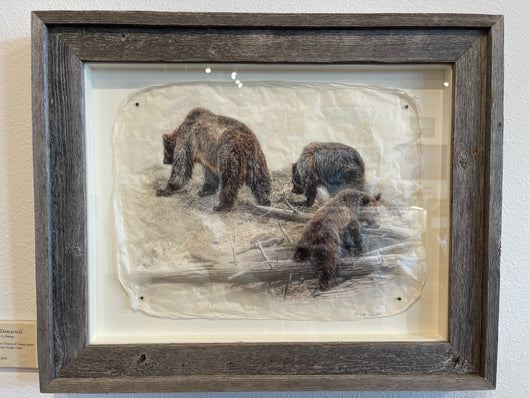 Beary Distracted
