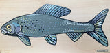 Montana Arctic Grayling - Oil on Wood