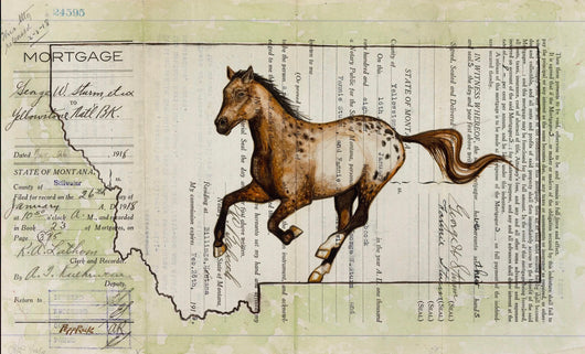 Montana Appy