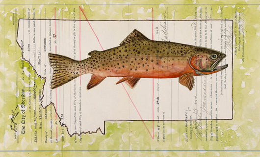 Westslope Cutthroat