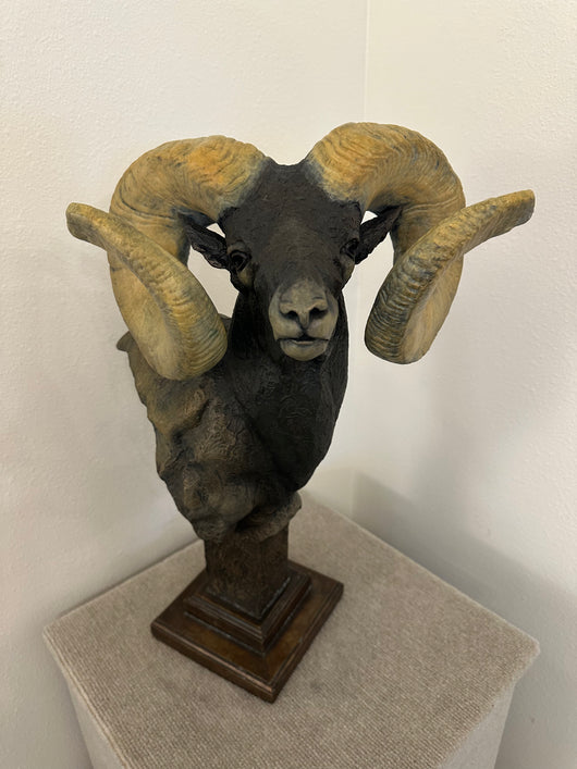 Ram Bust