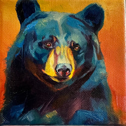 Colorful Black Bear 4x4