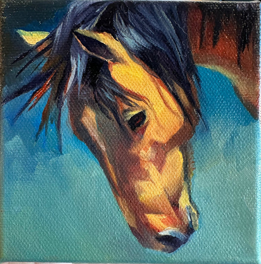 Colorful Horse 4x4