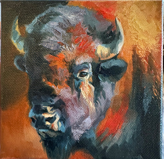 Colorful Bison 5x5