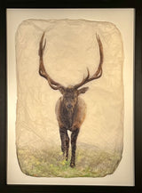Meadow Elk - Photographic Print on Gampi Paper