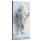 The Omen - Limited Edition Canvas Giclee Print