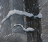 Serenity - Limited Edition Print