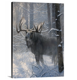 Serenity - Limited Edition Print