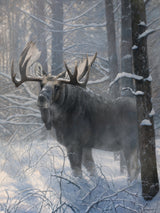 Serenity - Limited Edition Print