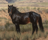 Shadows on the Mountain - Limited Edition Print