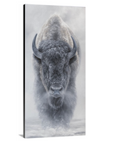 The Provider - Limited Edition Canvas Giclee Print