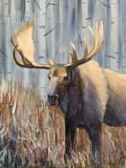 Moose Demo - Fall Moose Study #1