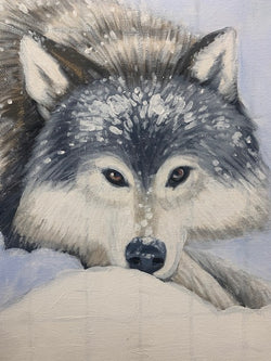 Wolf Sketch - Snowy Wolf