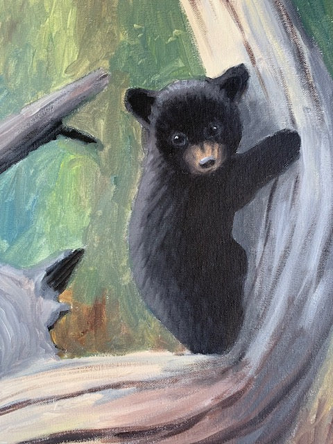 Bear Demo - Little Climber #4