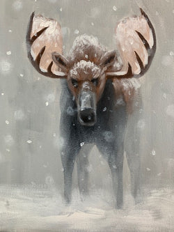 Moose Demo - Winter Moose Study #2