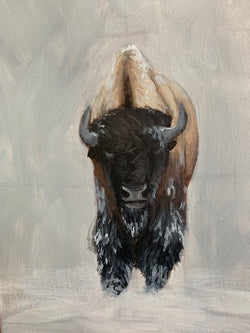 Bison Demo - North American Bison Study #4