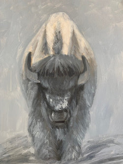 Bison Demo - North American Bison Study