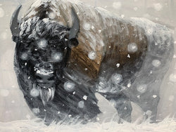 Bison Sketch - Whiteout #2