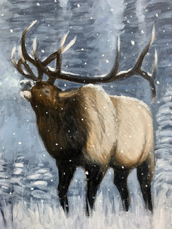 Elk Demo - Emperor of the Woods #1