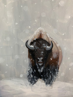 Bison Demo - North American Bison Study #5