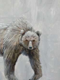 Bear Demo - Silver Bear II